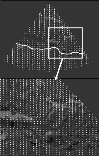 Two-component horizontal vector motion fields