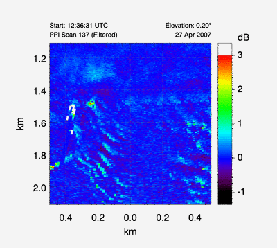 animated gif of canopy waves